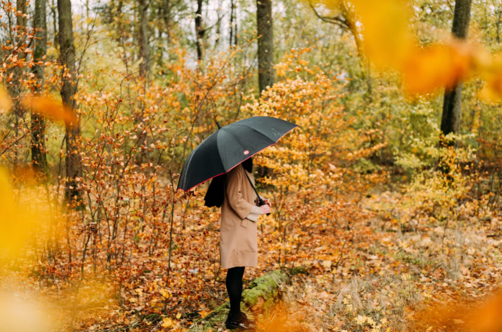 Herbstfarben Fotowalk