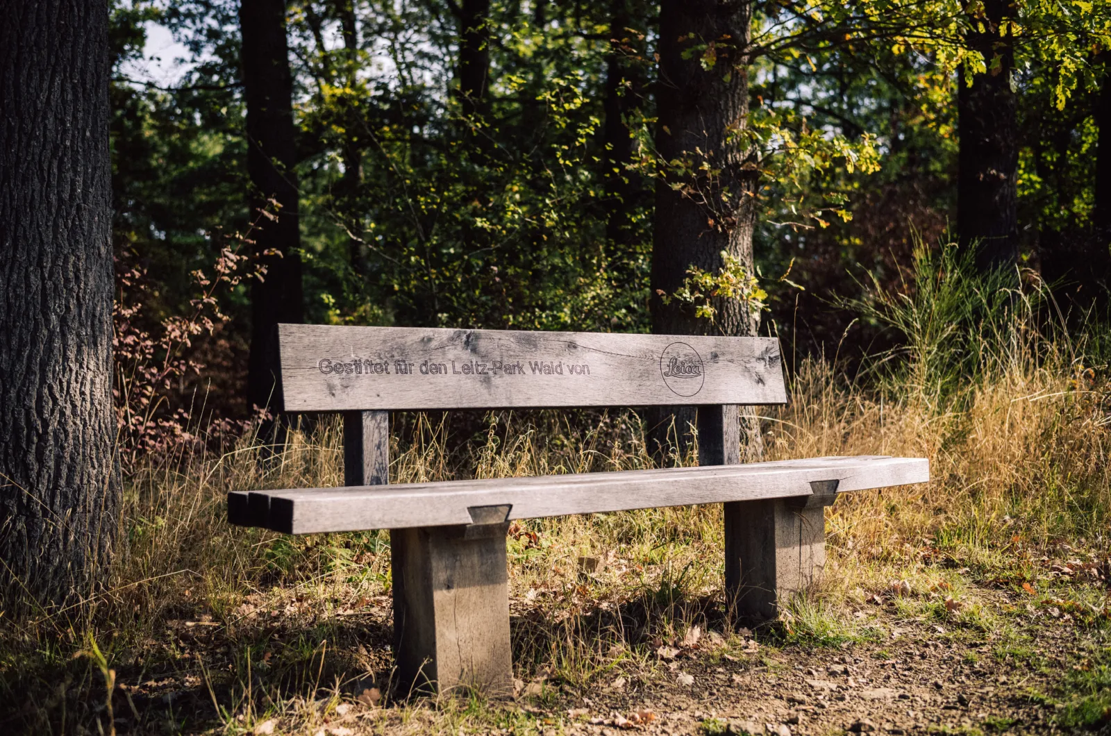 Tour durch den Leitz-Park Wald