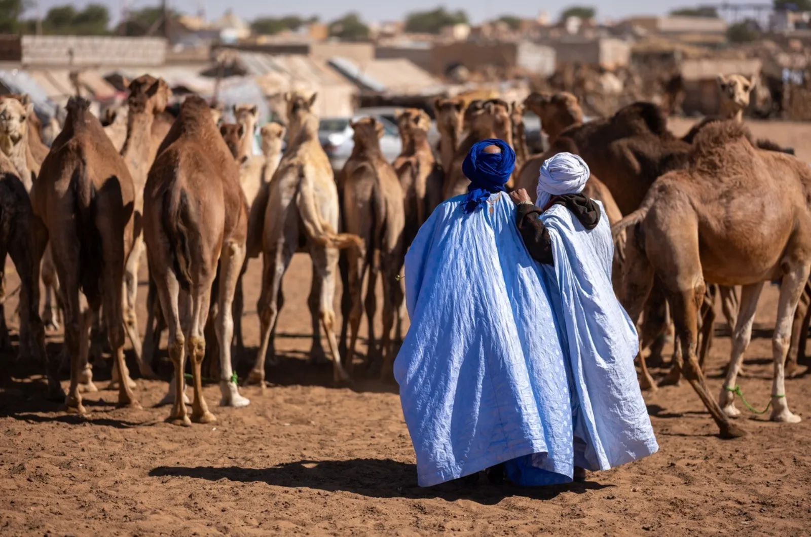 Mauritania – taking the ore train to the Sahara