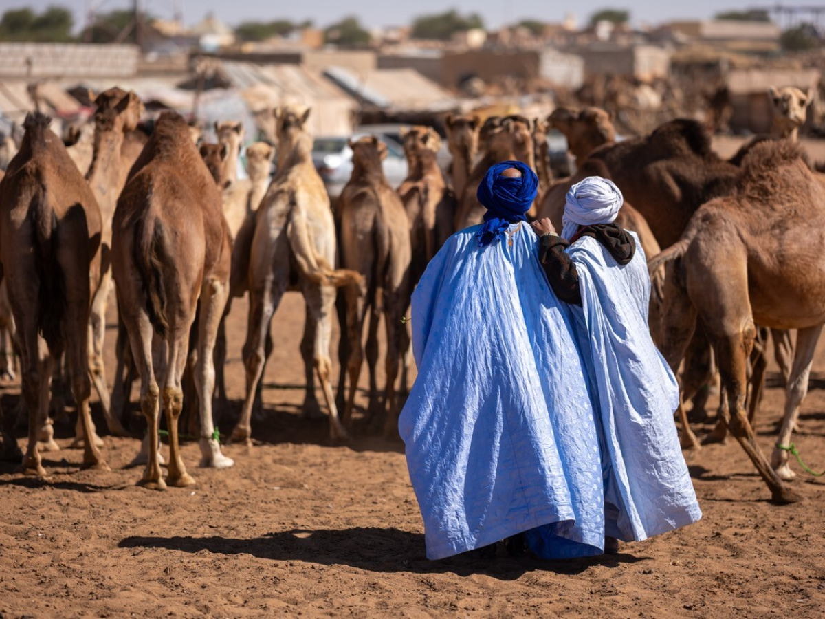 Mauritania – taking the ore train to the Sahara